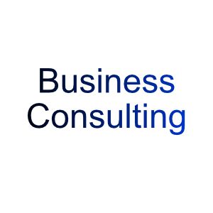 Business Consulting (Management, HR, Strategy)